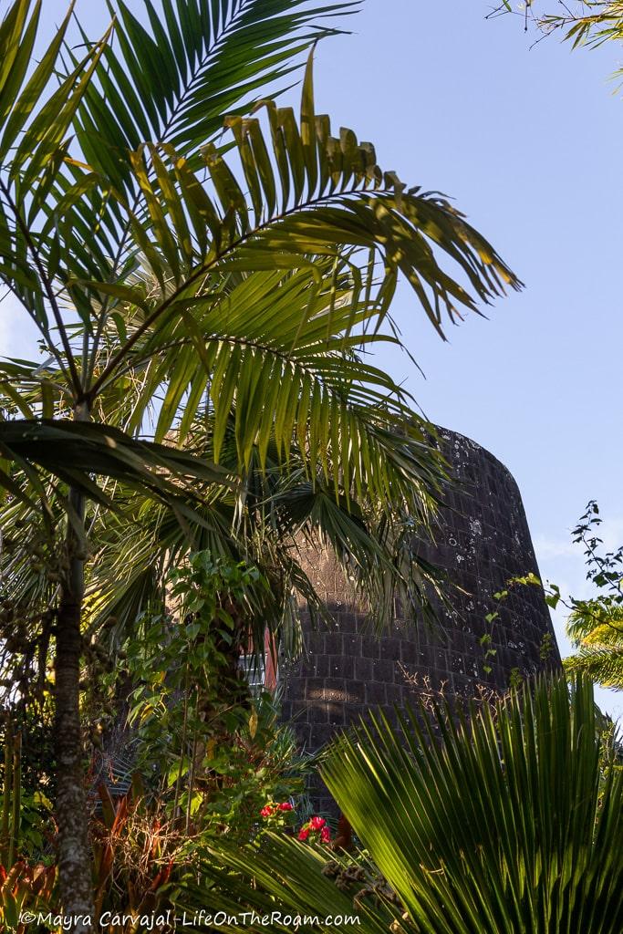 An old sugar mill among palm trees