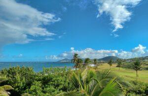 View of a coastline with hills in the background and palms in the foreground