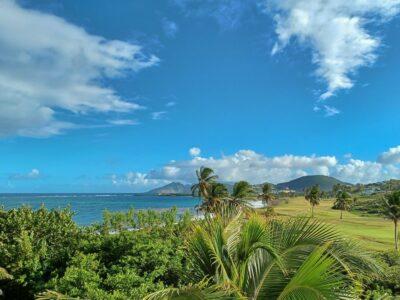 View of a coastline with hills in the background and palms in the foreground