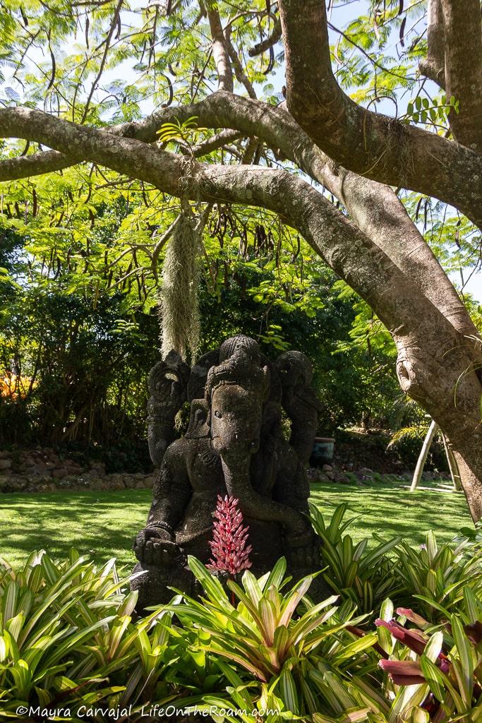 A stone sculpture with the face of an elephant under a tree in a garden