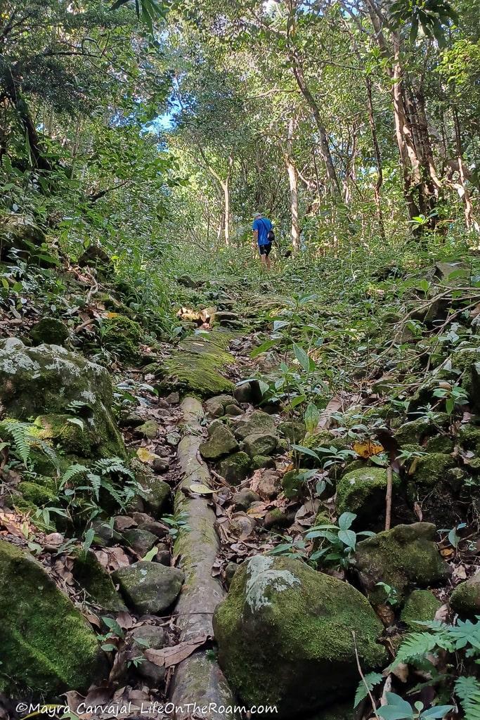 A man hiking uphill next to a pipe laying on the ground
