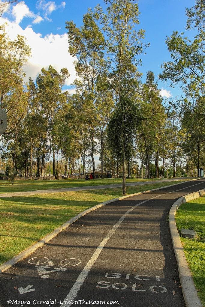 A bicycle path in a park with trees