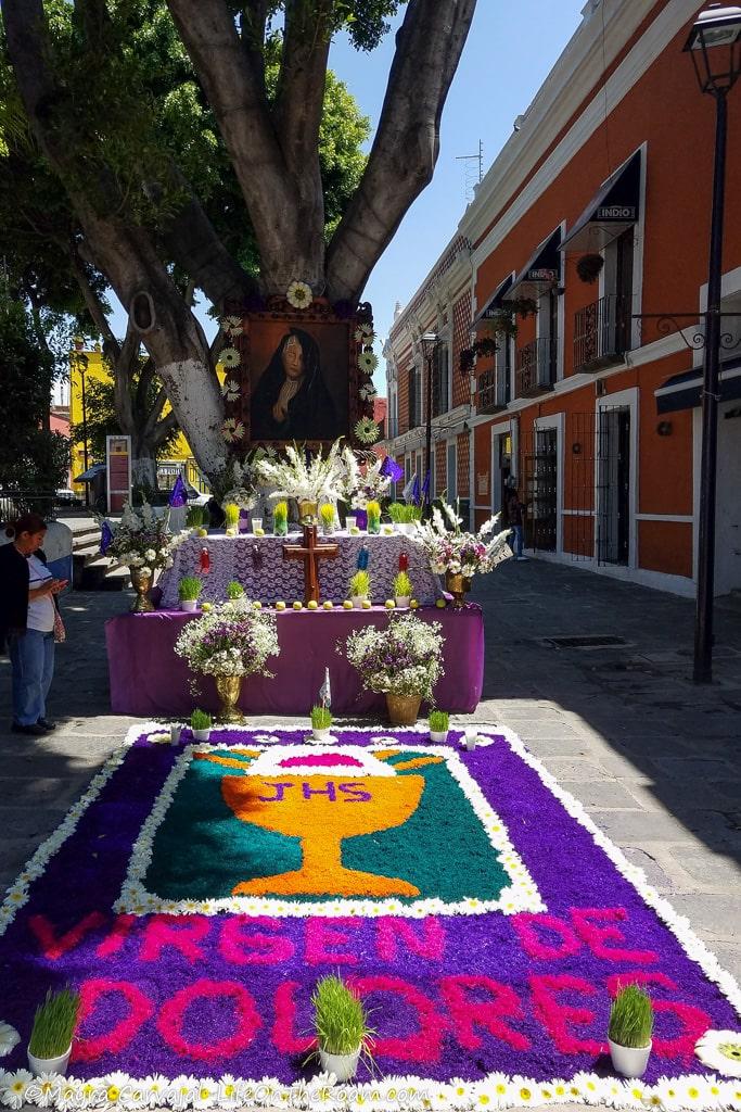 A sawdust and flower rug on a street with colourful buildings