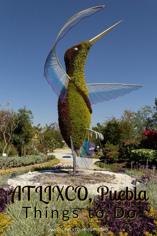 A sculpture made with plants in the shape of a hummingbird with the text  "Atlixco Things to do"