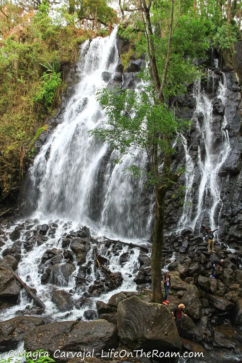 A waterfall washing over dark rocks in a nature reserve