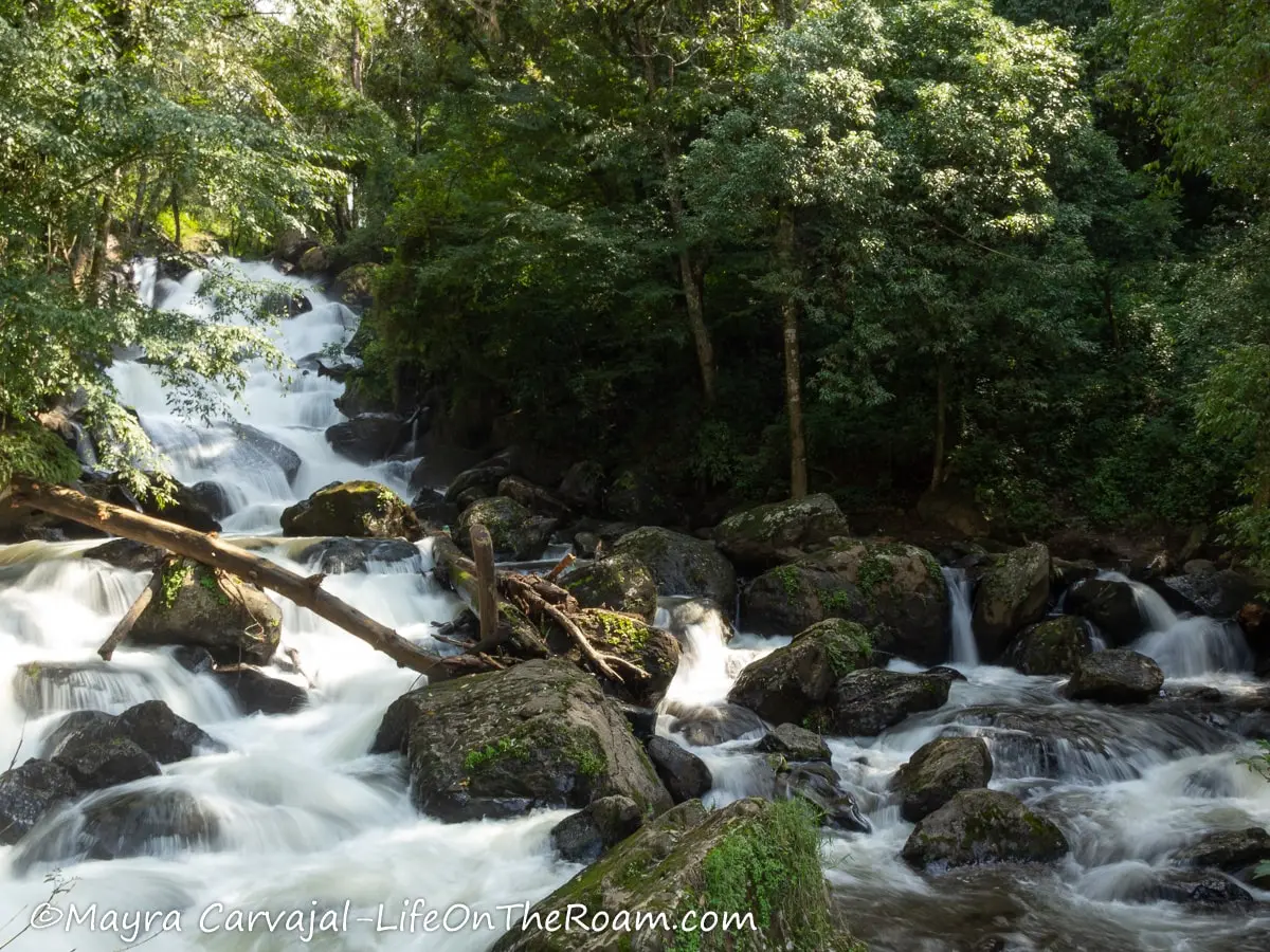 A waterfall washing over boulders and shaded by trees