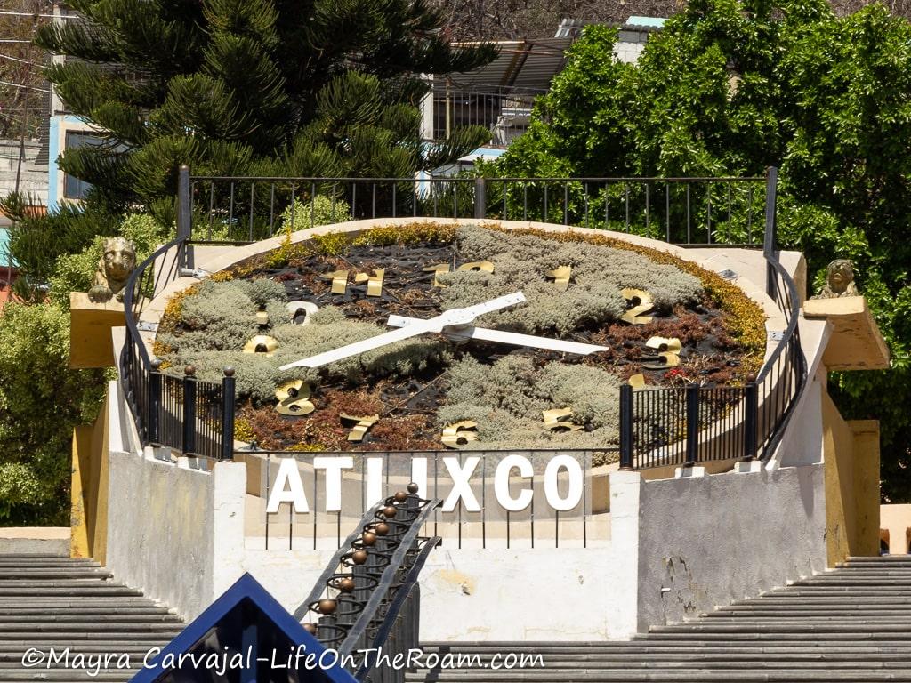 A floral clock