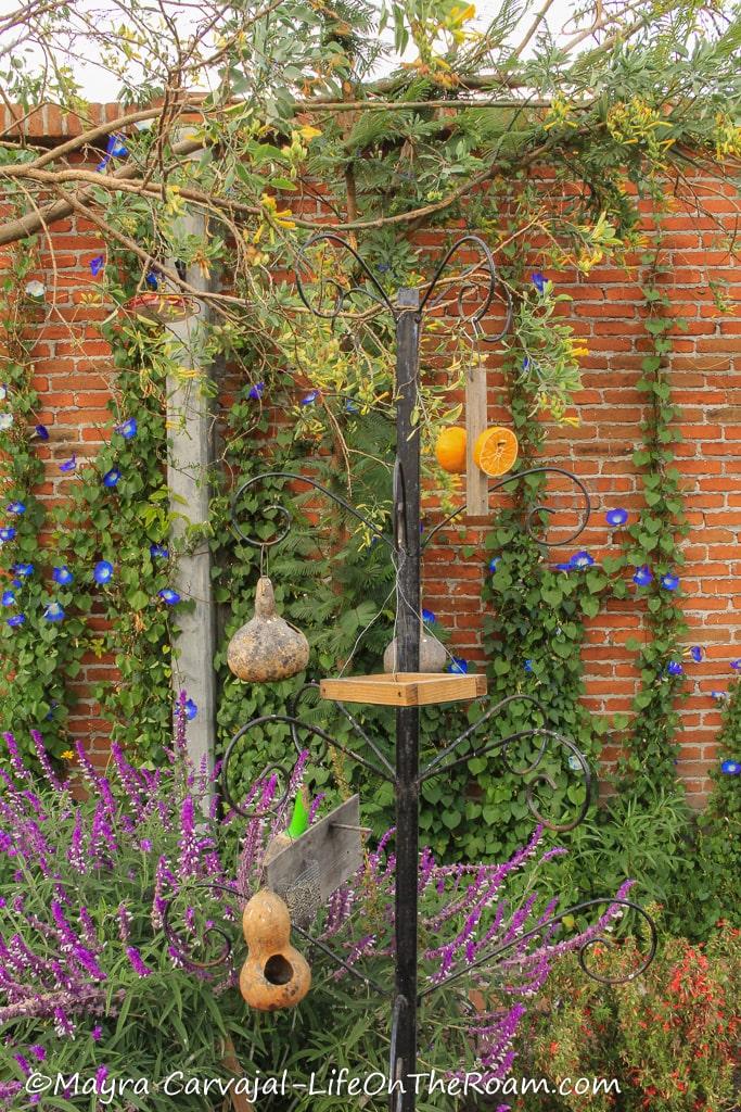 Bird feeders in a garden with colourful flowers