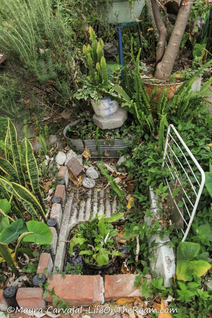 A garden setup with discarded laundry sinks, bricks, bottles, and racks