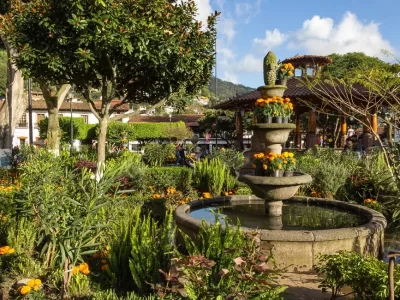 A square with a garden and a fountain