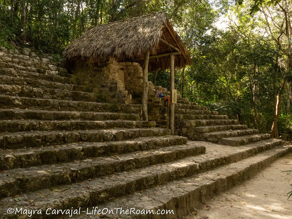 Stairs in an archeological site with a thatch roof covering an artifact