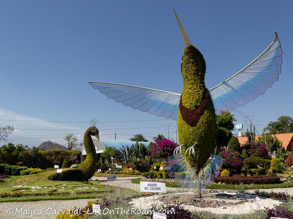 A garden with a sculpture made of plants depicting a hummingbird in the front and a peacock in the background