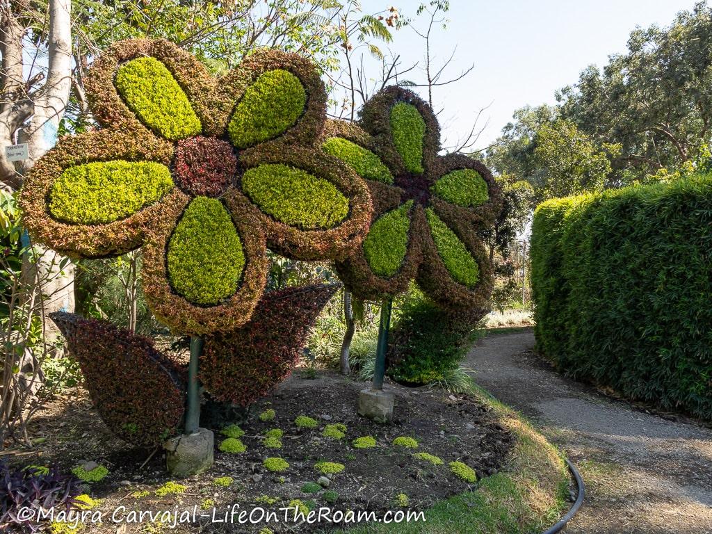 Large sculptures made of plants in the shape of flowers