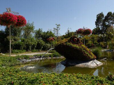 A big sculpture and fountain made of plans in the shape of a frog, on a pond