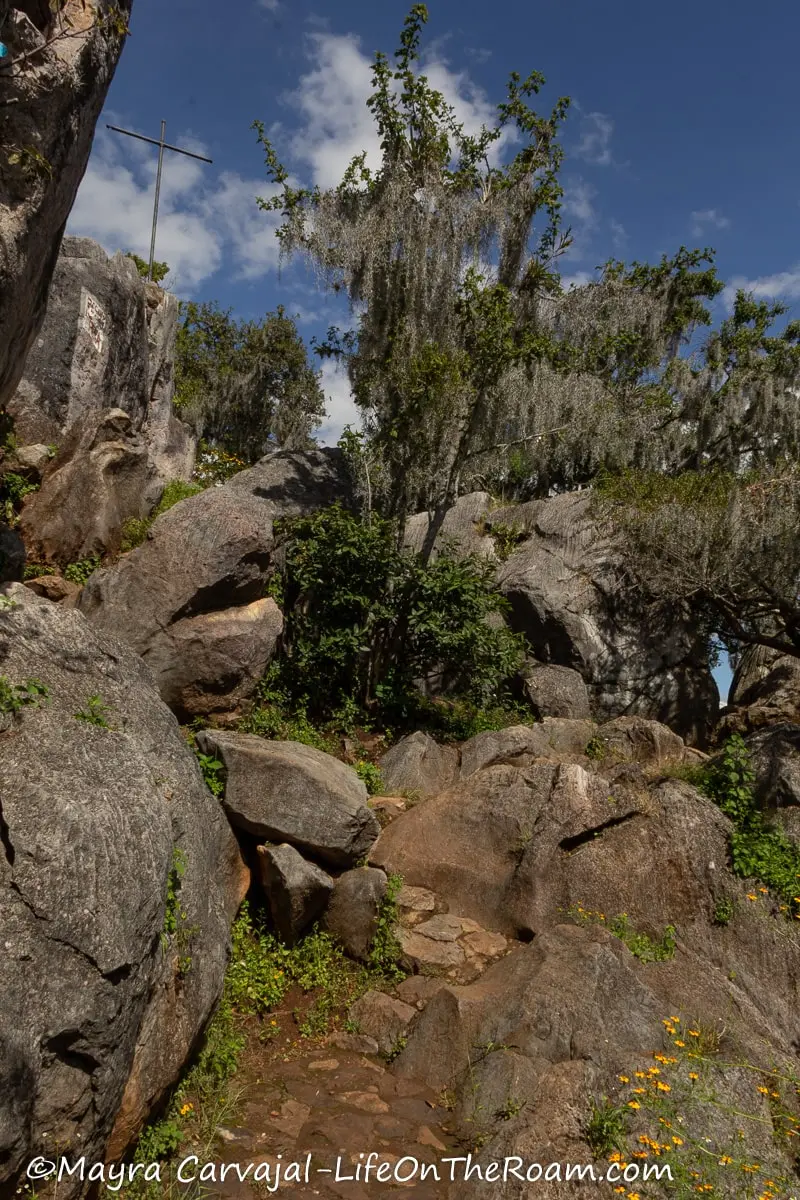 A trail with boulders in a mountain