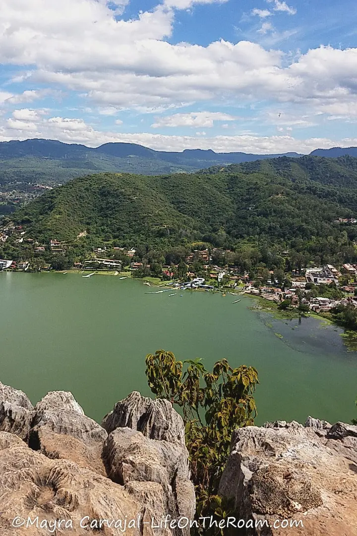 View of a lakeshore from a trail