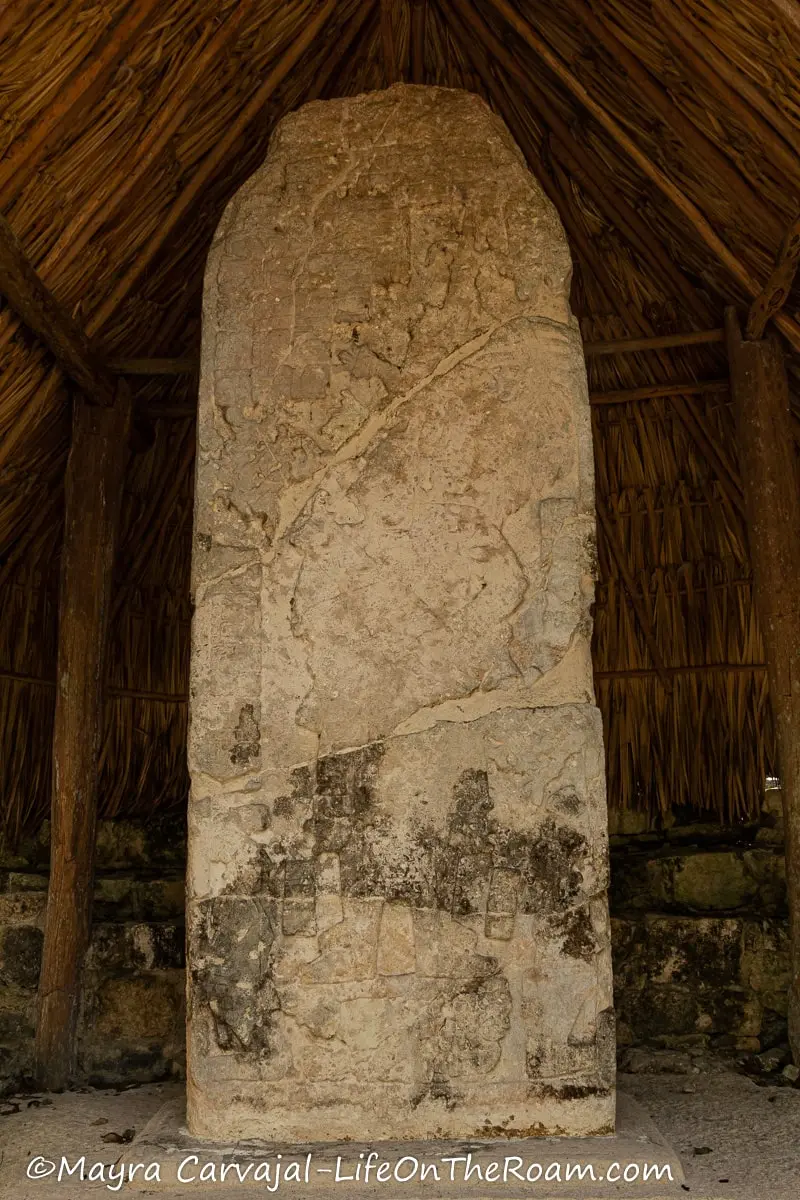 An ancient stela under a thatch group
