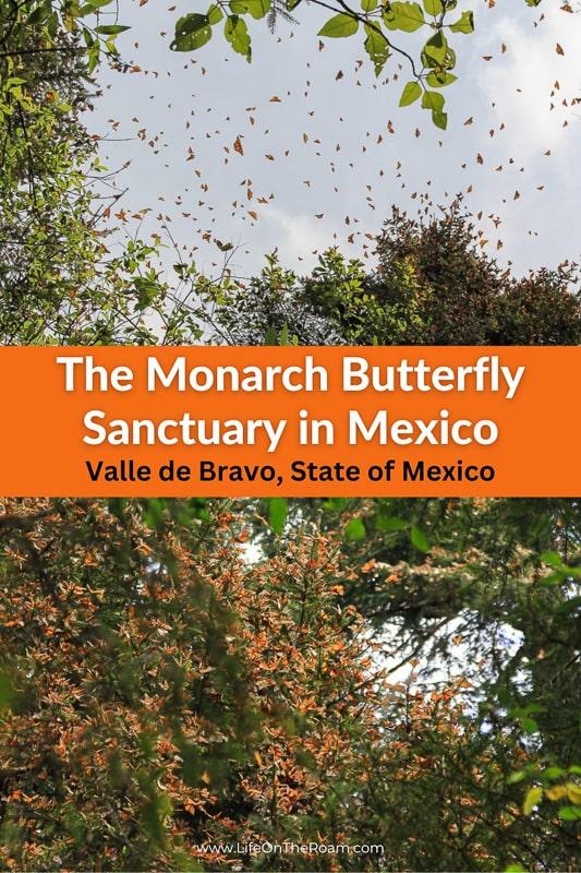 Two images of Monarch Butterflies in a sanctuary with the text "The Monarch Butterfly Sanctuary in Mexico, Valle de Bravo, State of Mexico"