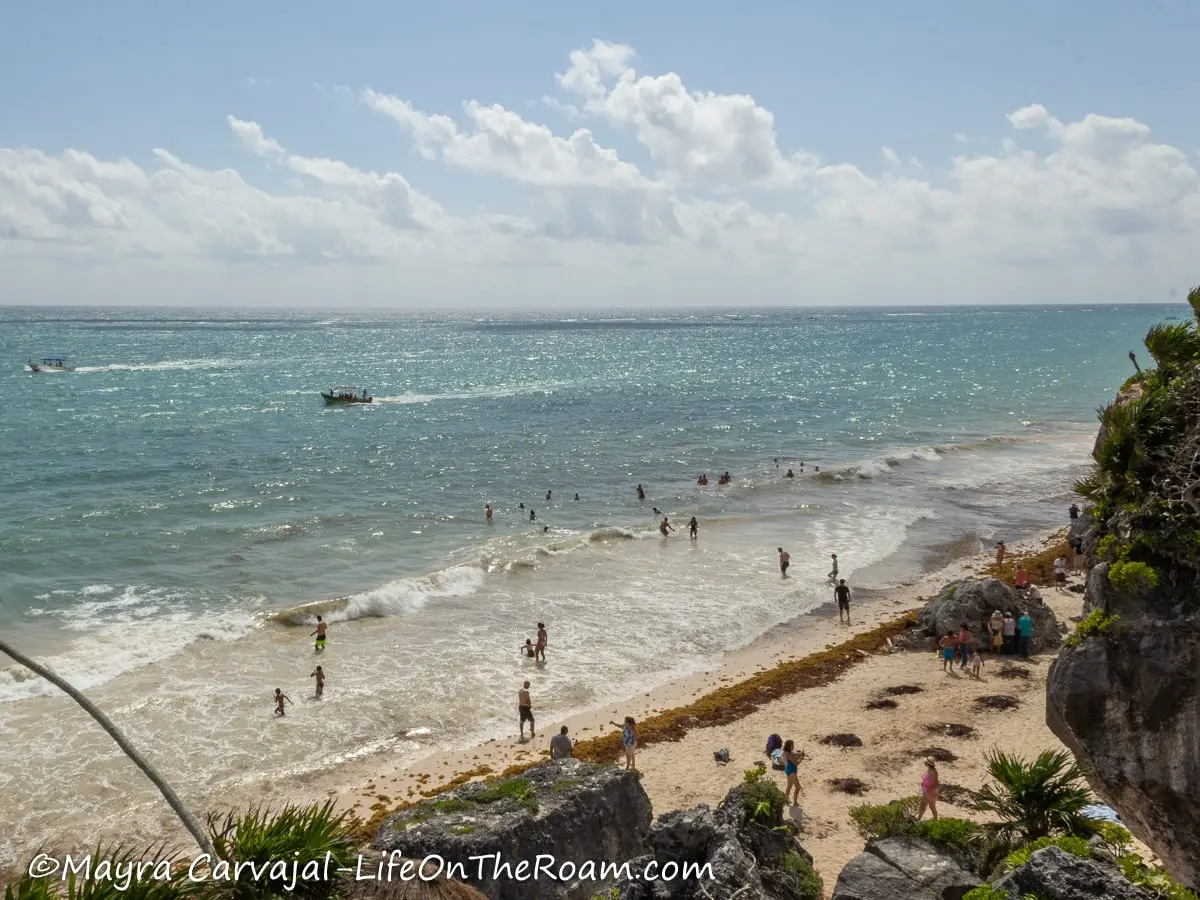 A beach with people and sargassum