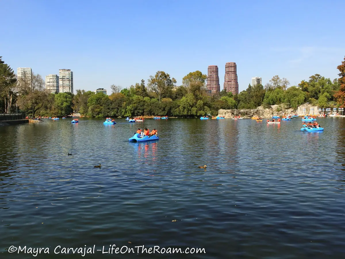People on paddle boats on a lake in an urban park