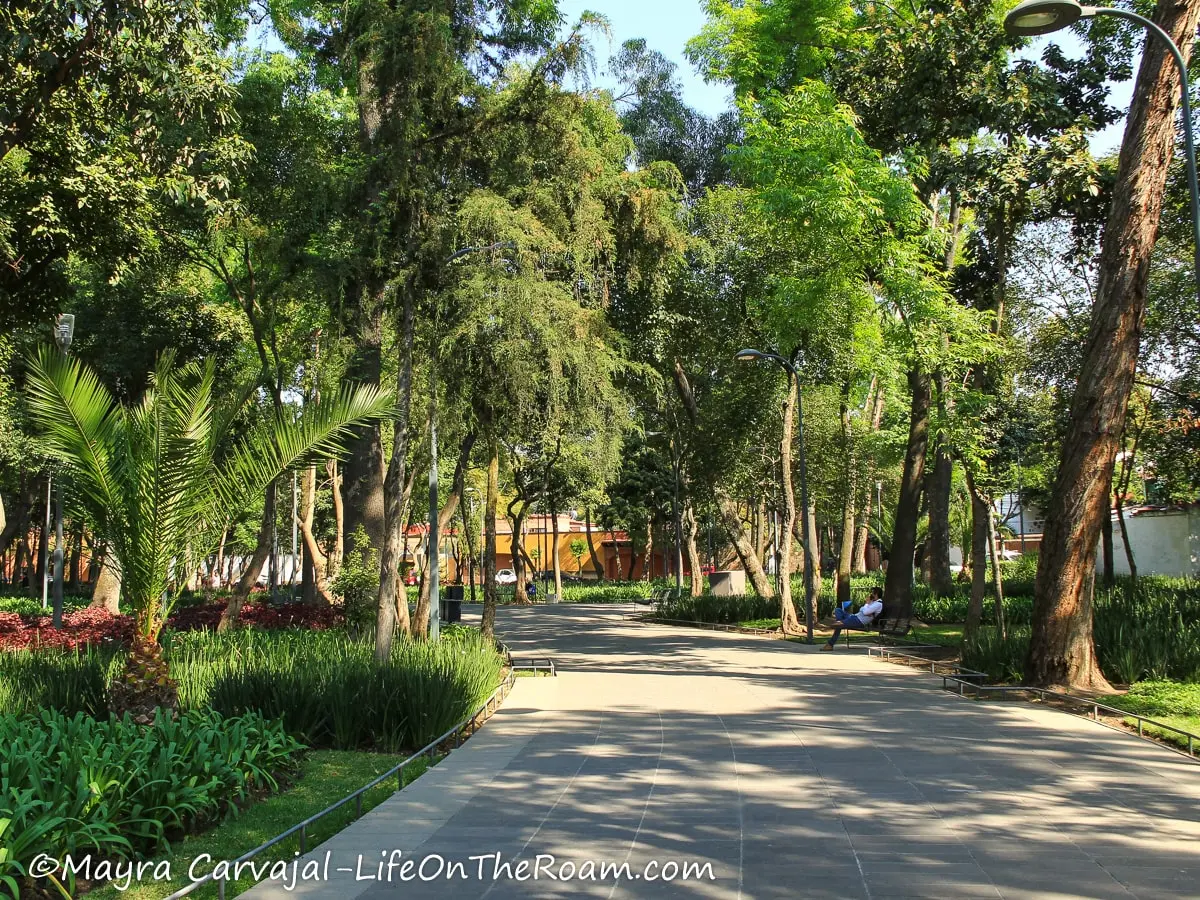 A paved curved path in an urban park with tall trees and manicured gardens
