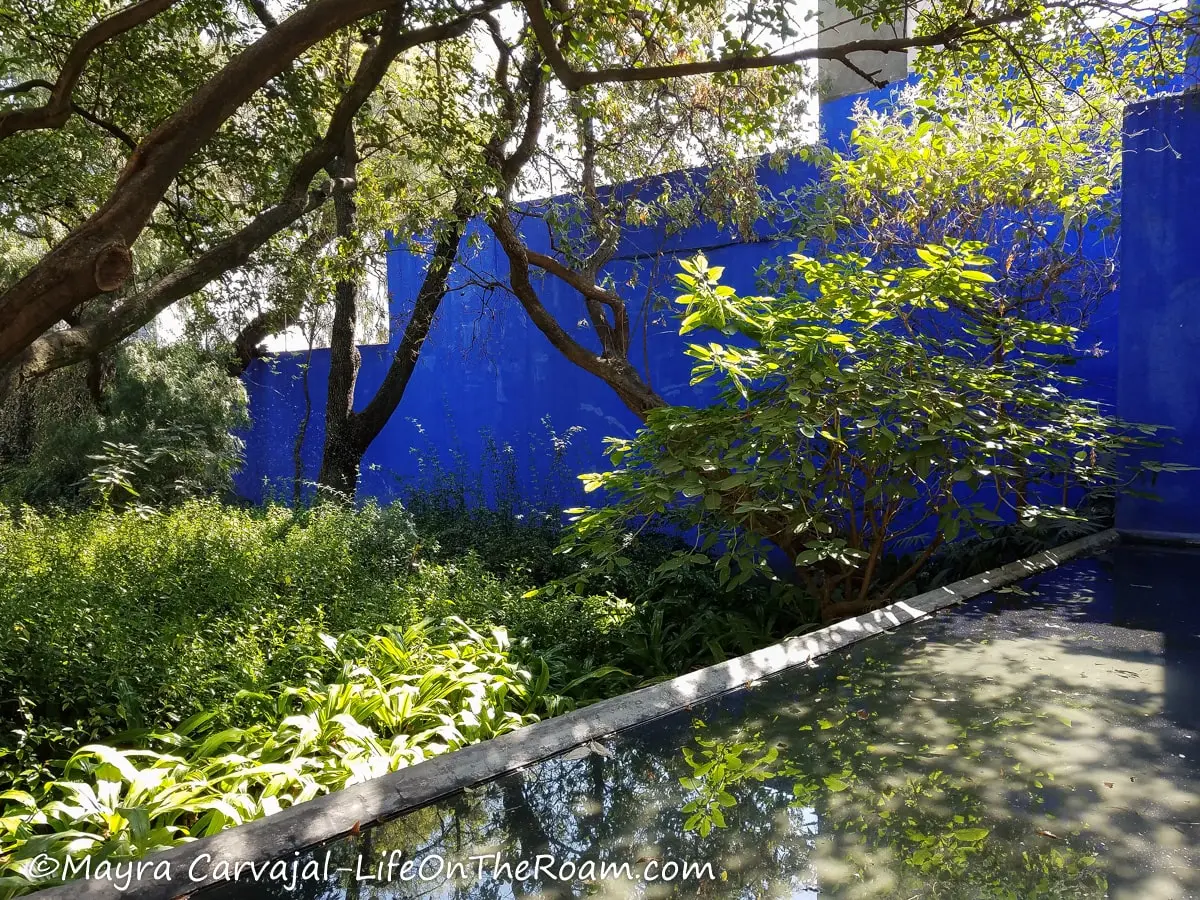 A water feature in a garden with trees and a deep blue wall