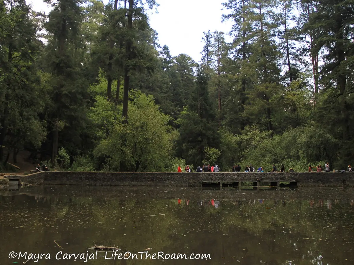 A lake in the middle of a forest with people walking on a boardwalk