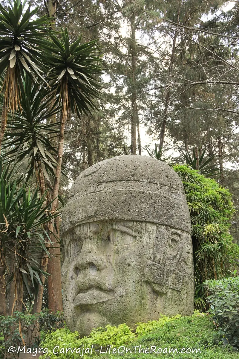 A stone sculpture of a giant head representing an ancient culture, in an urban park with tall trees