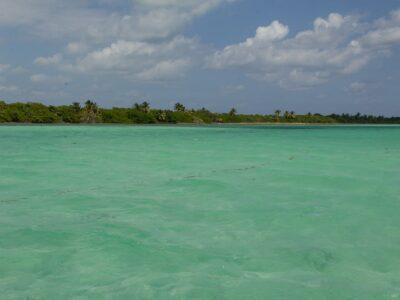 A view of the sea from the water with turquoise shades and a green tropical forest in the distance