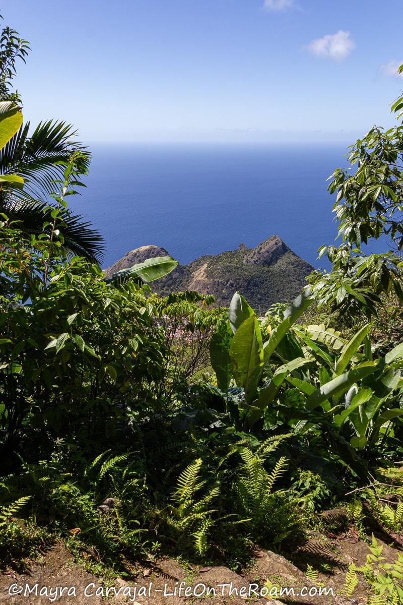 Aerial view of a hill from a step trail up in a lush mountain with the sea in the background