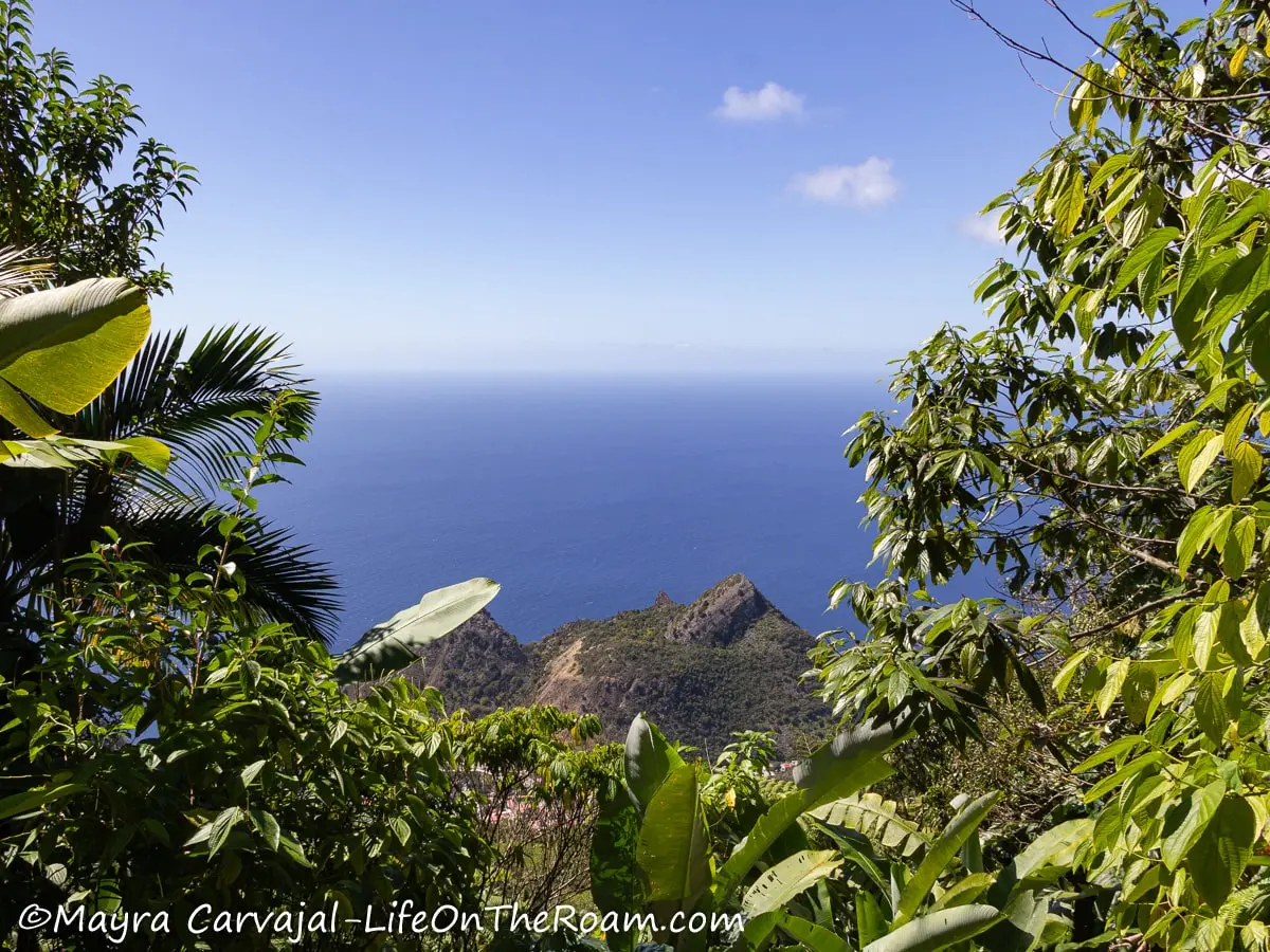 High view of a mountain with the ocean in the background, framed with tropical vegetation