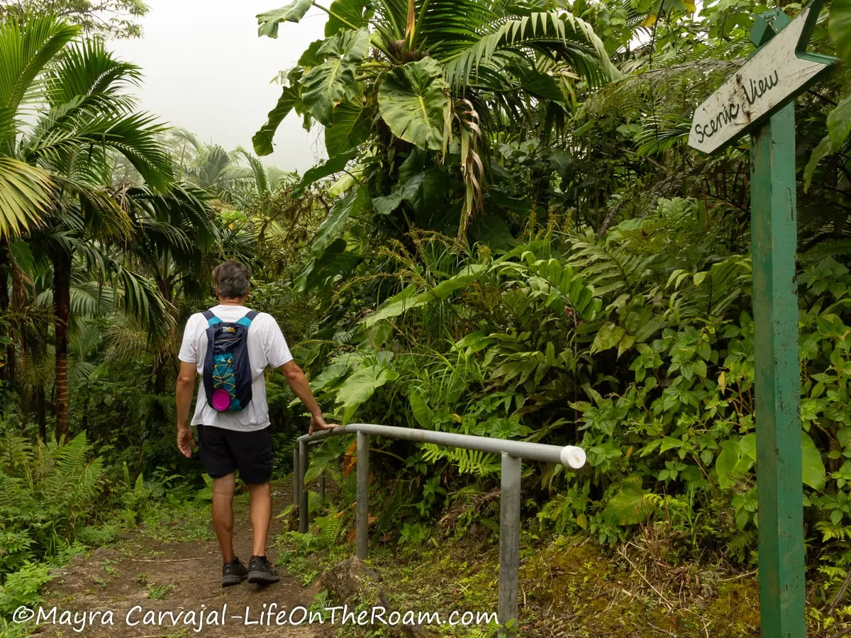 A man on a concrete path with a handrail in a cloud forest environment and a sign saying "Scenic View"