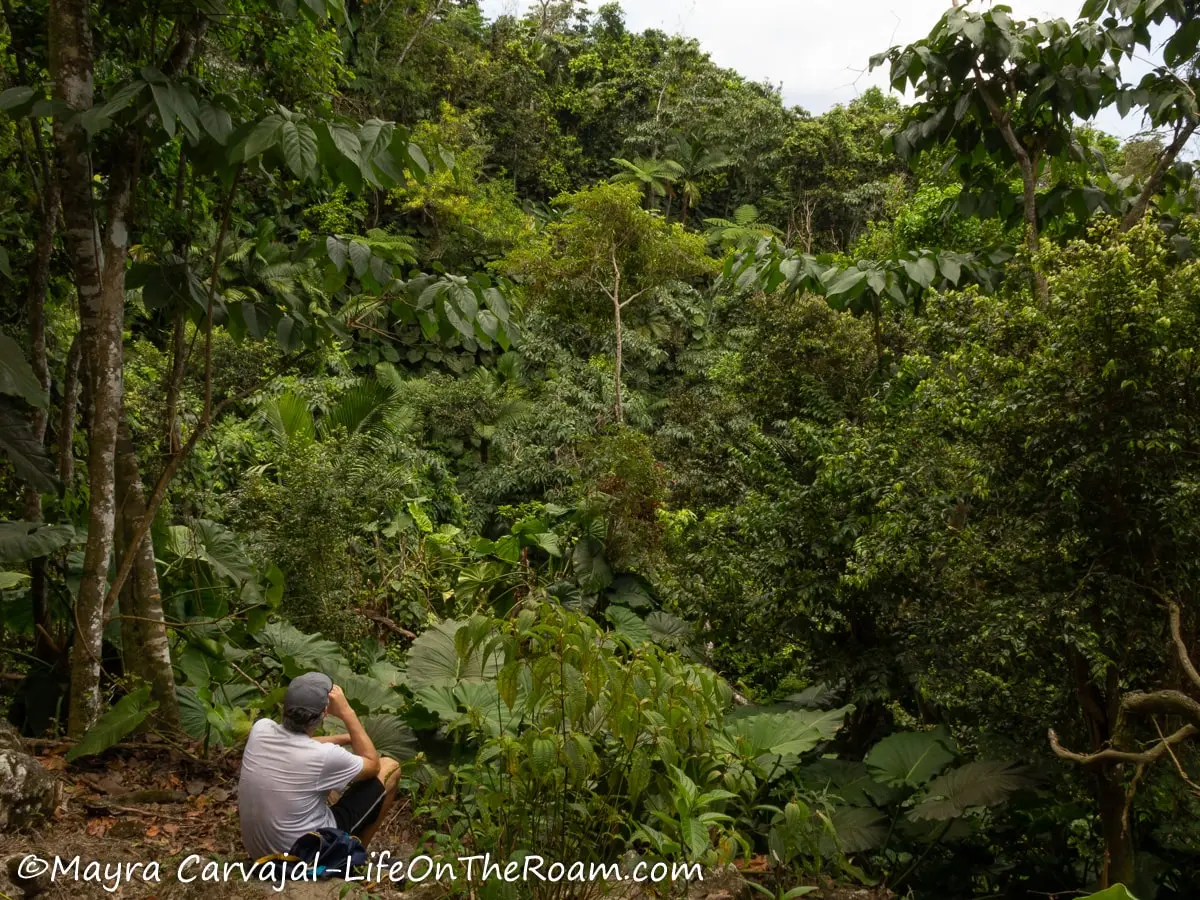 A man sitting at the edge of a trail looking at the mountain covered with tropical forest trees and vegetation