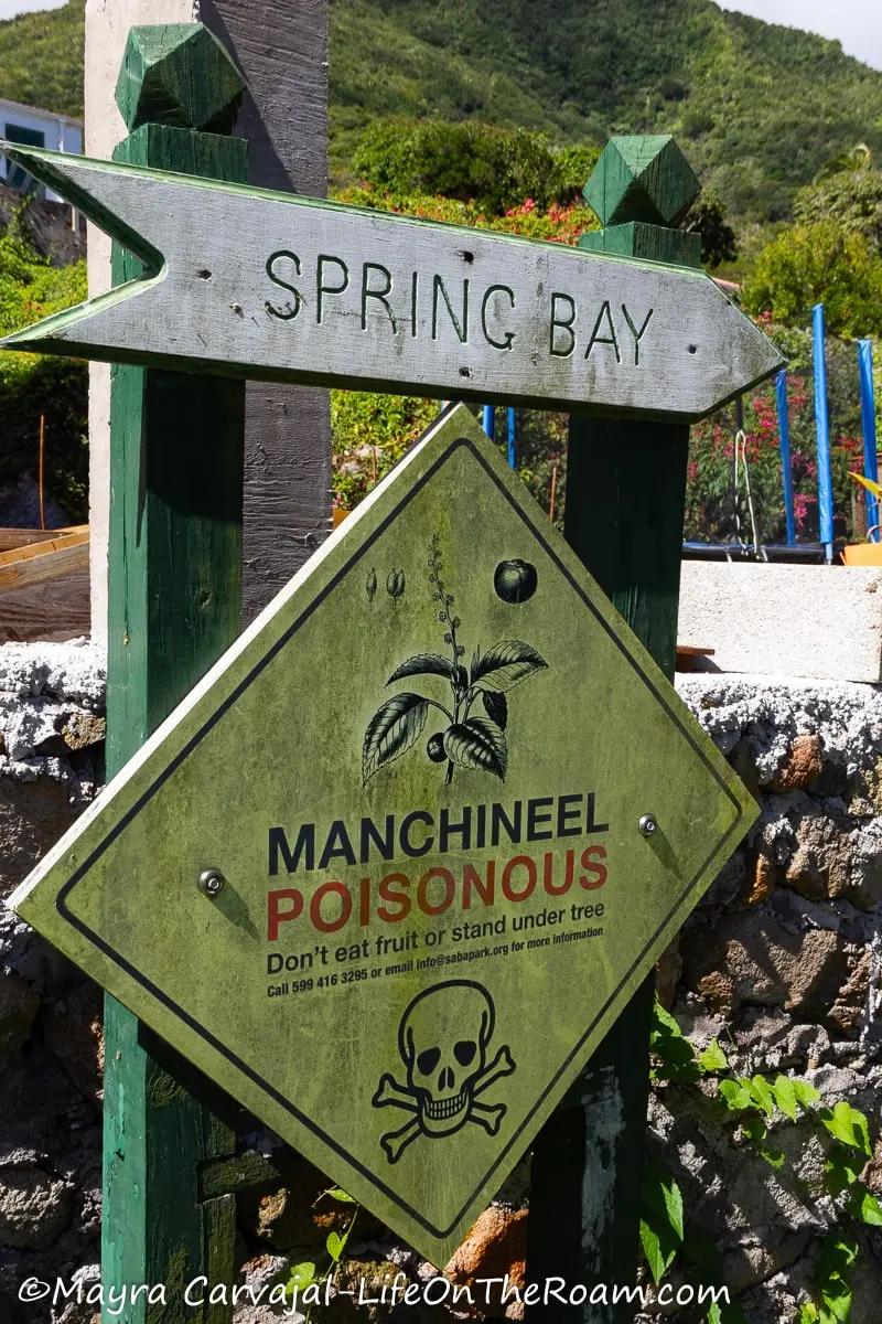 A sign on a trailhead saying "Spring Bay" and a warning sign about Manchineel poisonous tree