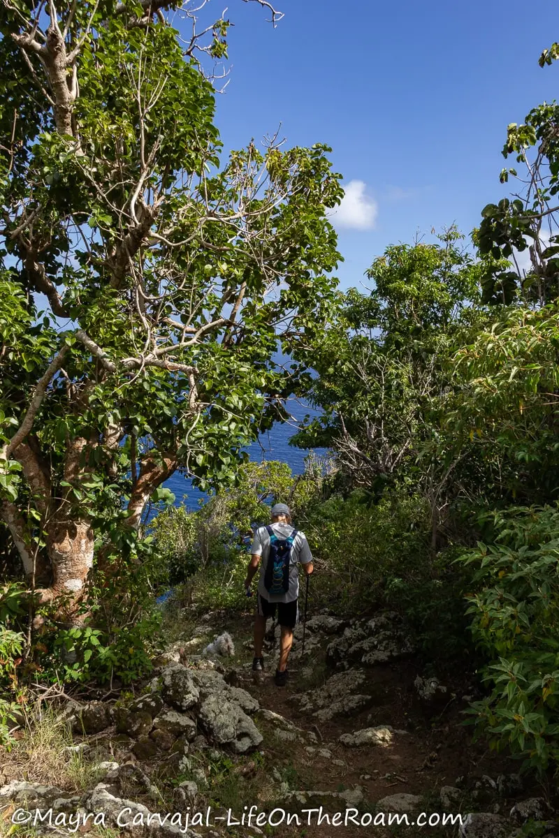 A man walking downhill on a trail in a dry forest environment with trees
