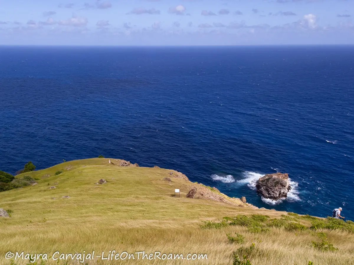 A grassy meadow sloping down to an ocean cliff and a tiny island to the right