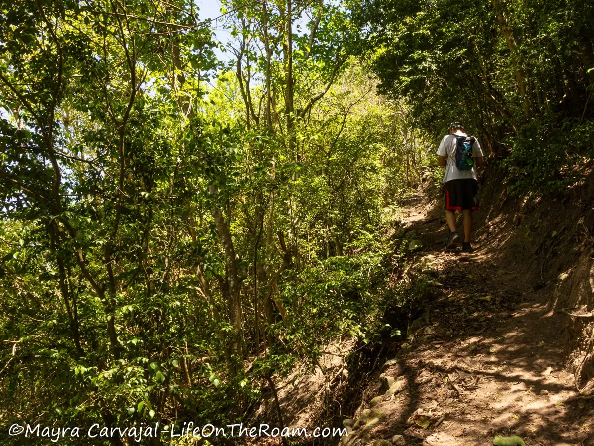 A man hiking along the narrow edge of a trail on a shaded hill with tropical vegetation