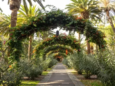 A garden in Tenerife with palm trees and a tunnel made with arches with flowers