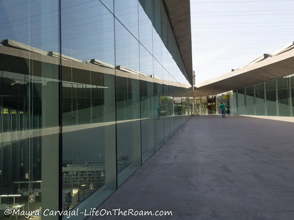 A modern building with a curtain wall with the reflection of an intersecting wall