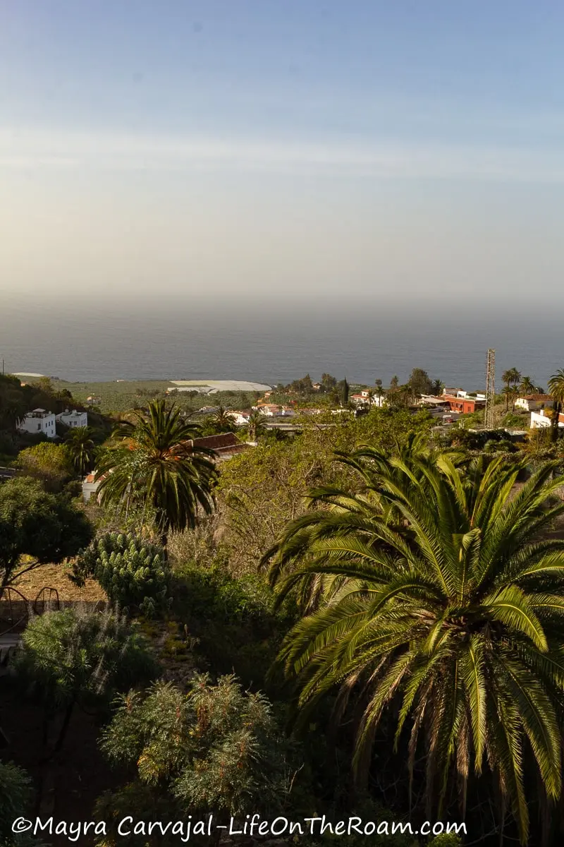 Sea view in the distance over a hill with palm trees