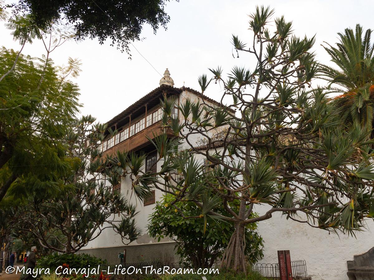 A square with traditional Spanish buildings and a big tree