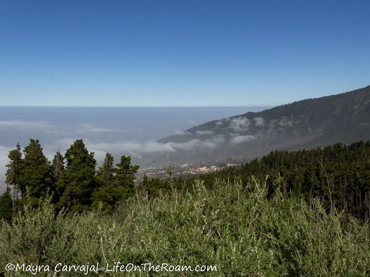 View of hills and mountains covered in vegetation and pine trees with the sea in the horizon