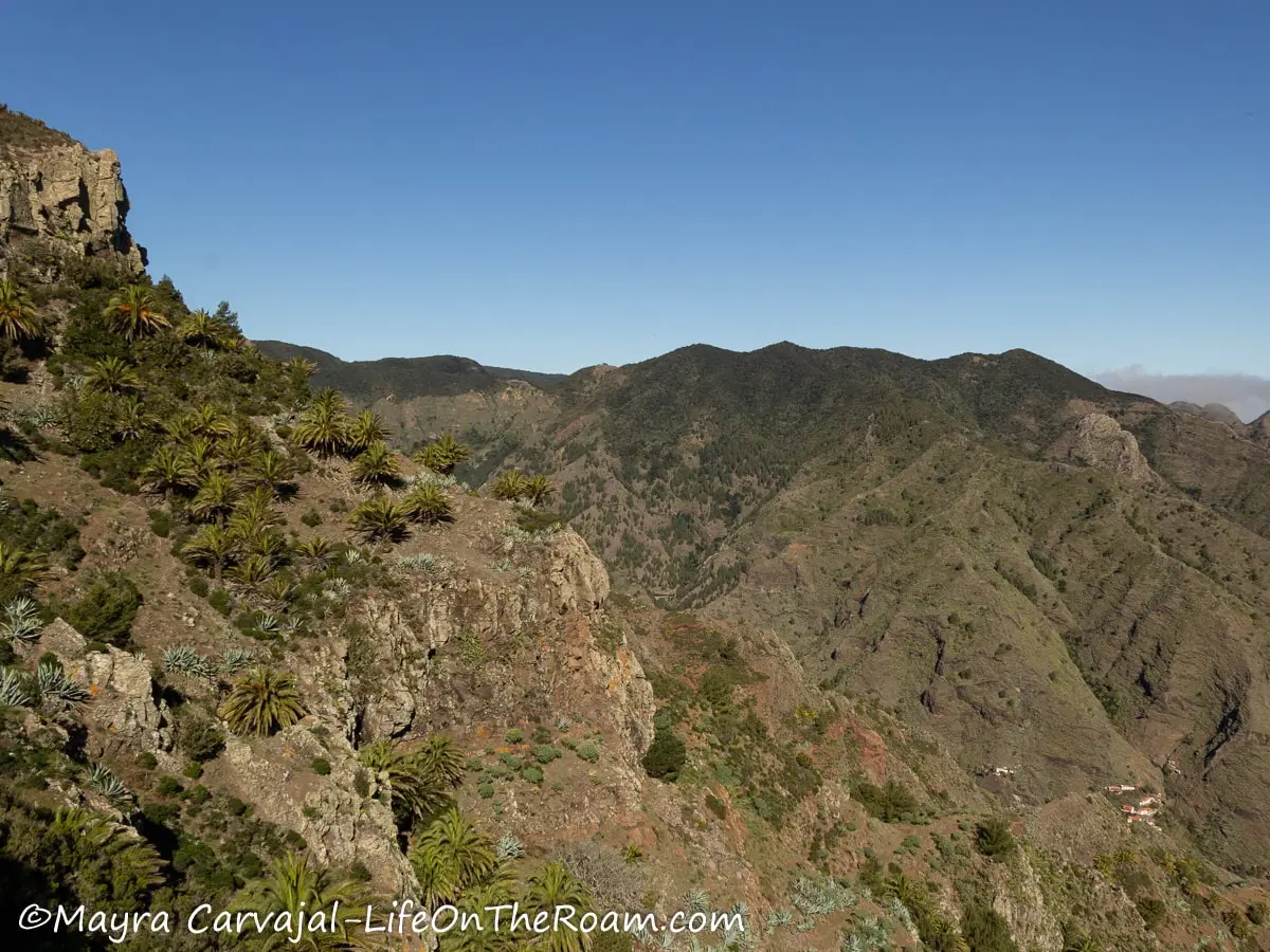 View of a rugged mountain with big palm trees towards the top