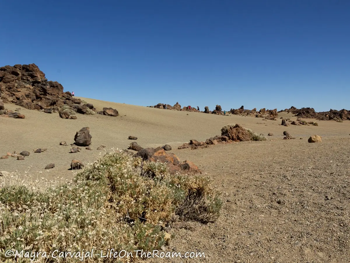 Hikers on a rocky valley with big rocks spread across and a patch of dry vegetation in the foreground