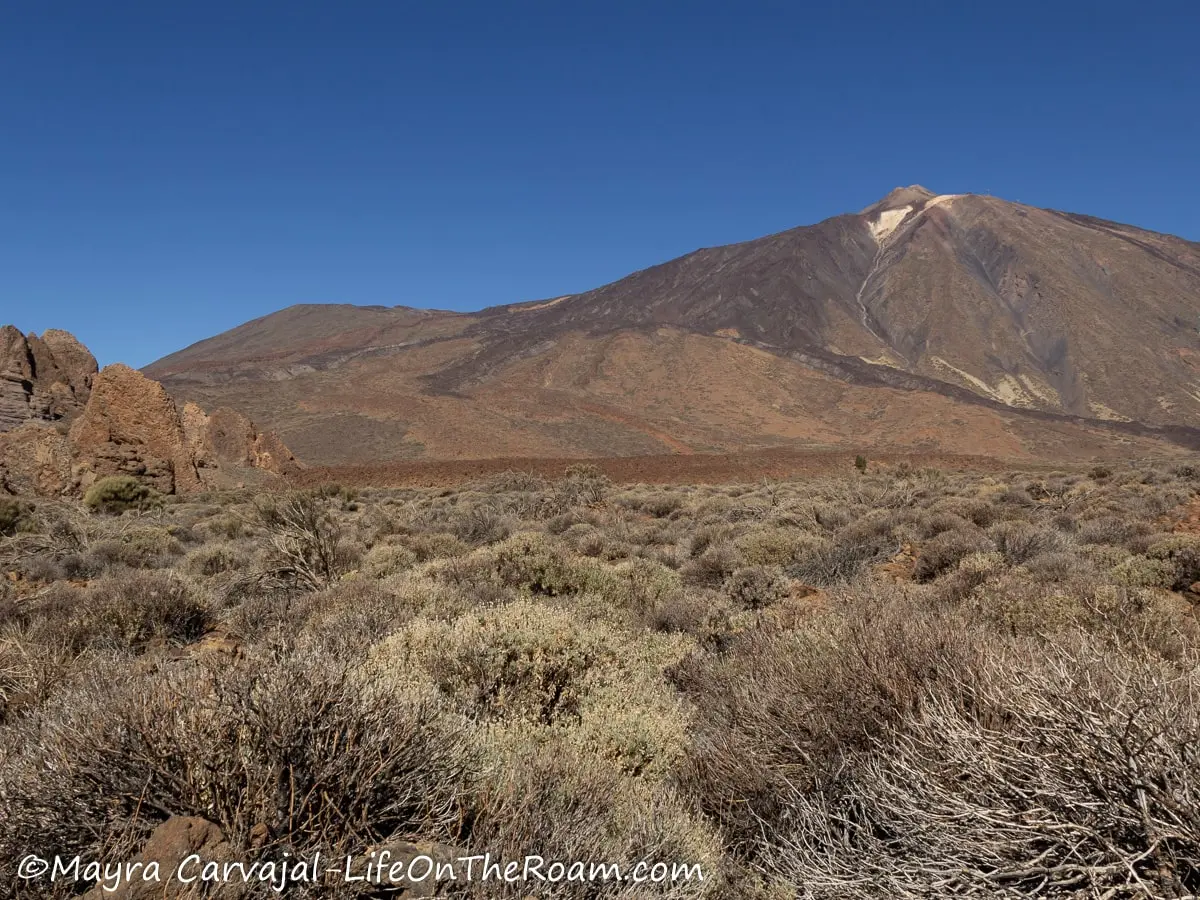 A desert-like landscape with dry bushes in the foreground, rock formations, and a high peak in the distance