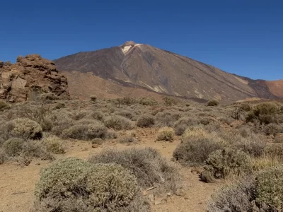 A desert-like environment with shrubs and a volcano in the distance against a blue sky