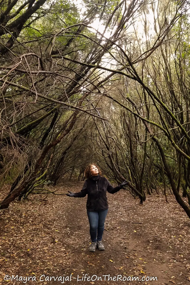 Mayra hiking on a trail with a dirt path and converging branches in a cloud forest