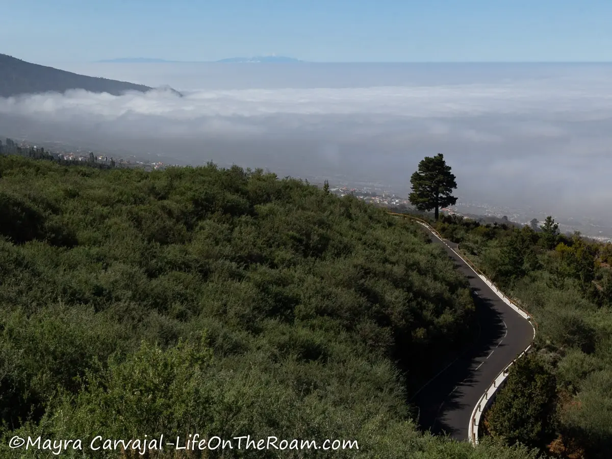 A road traversing a lush mountain with clouds and the sea in the distance