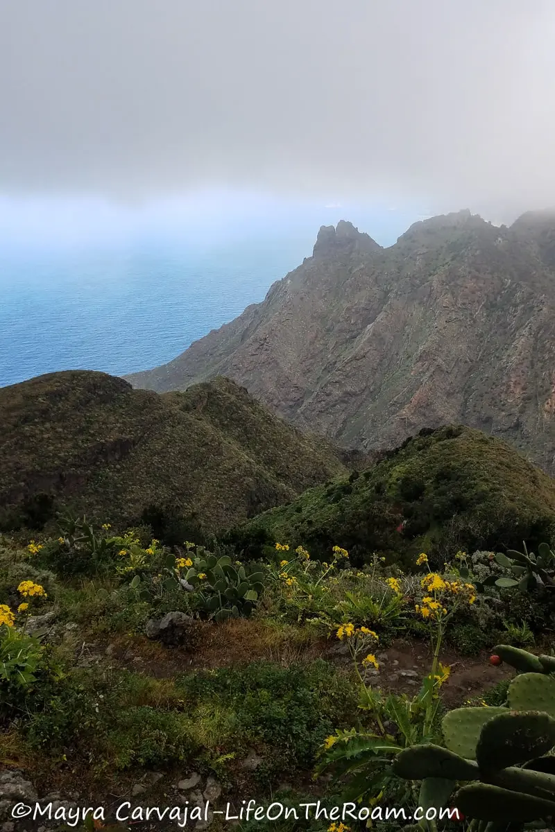 View of the sea beyond the mountains covered in green vegetation