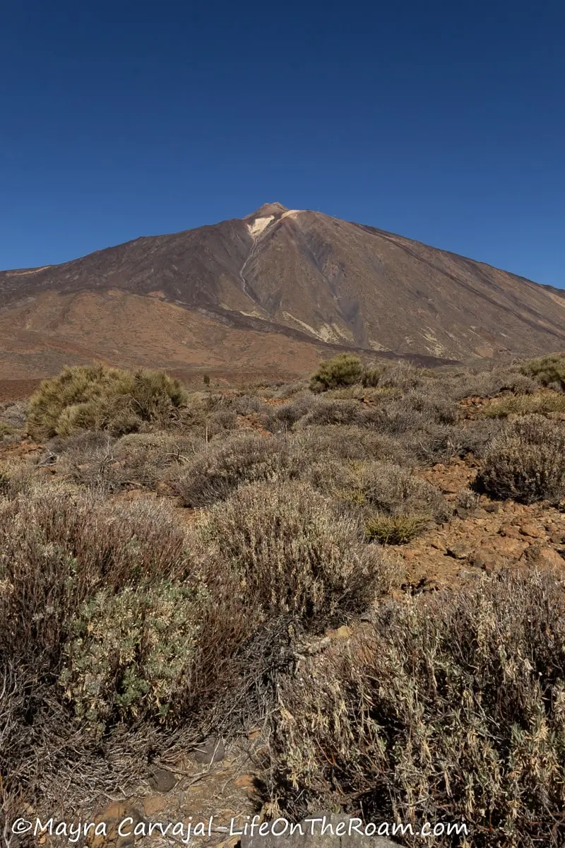 View of a volcano with shrubs in the foreground